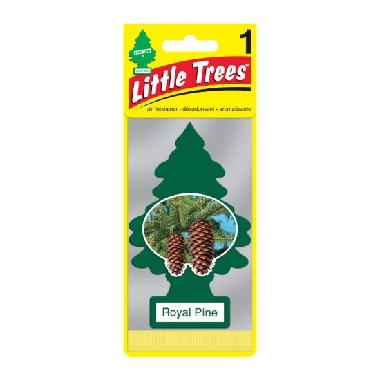 Little Trees - Sapin Royal Pine - PK1